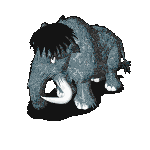 48794b8a43bb8c6e2c06f340ee7c23b0_1749295616_6849.gif