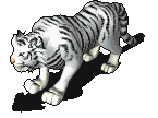 42f9f5471bdd23e17c5eebdd21f5694f_1751526691_6663.gif